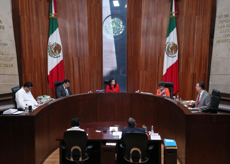 Tribunal Electoral aprueba que servidores públicos promuevan la elección judicial