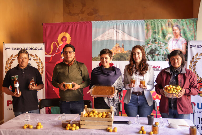 Feria del Tejocote Calpan