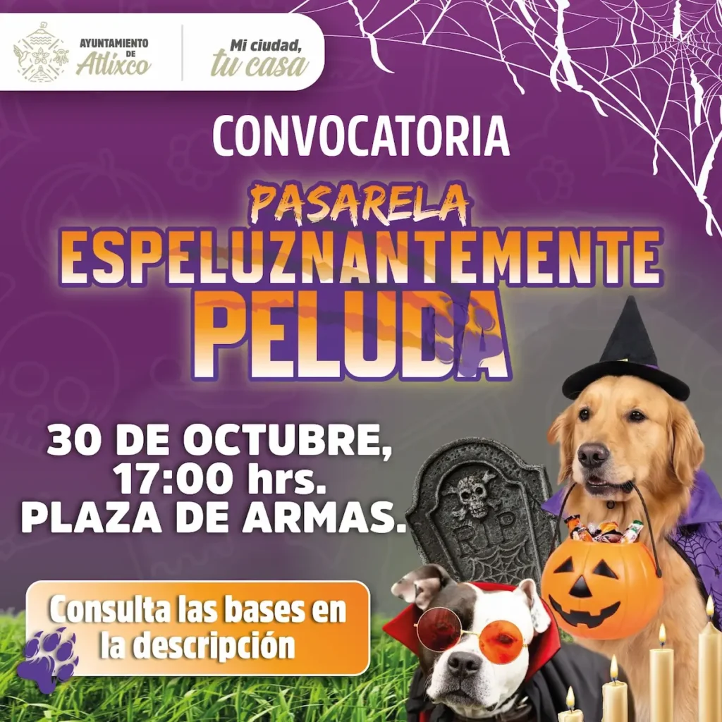 ¡Guau! Atlixco convoca al 1er Concurso de disfraces para lomitos