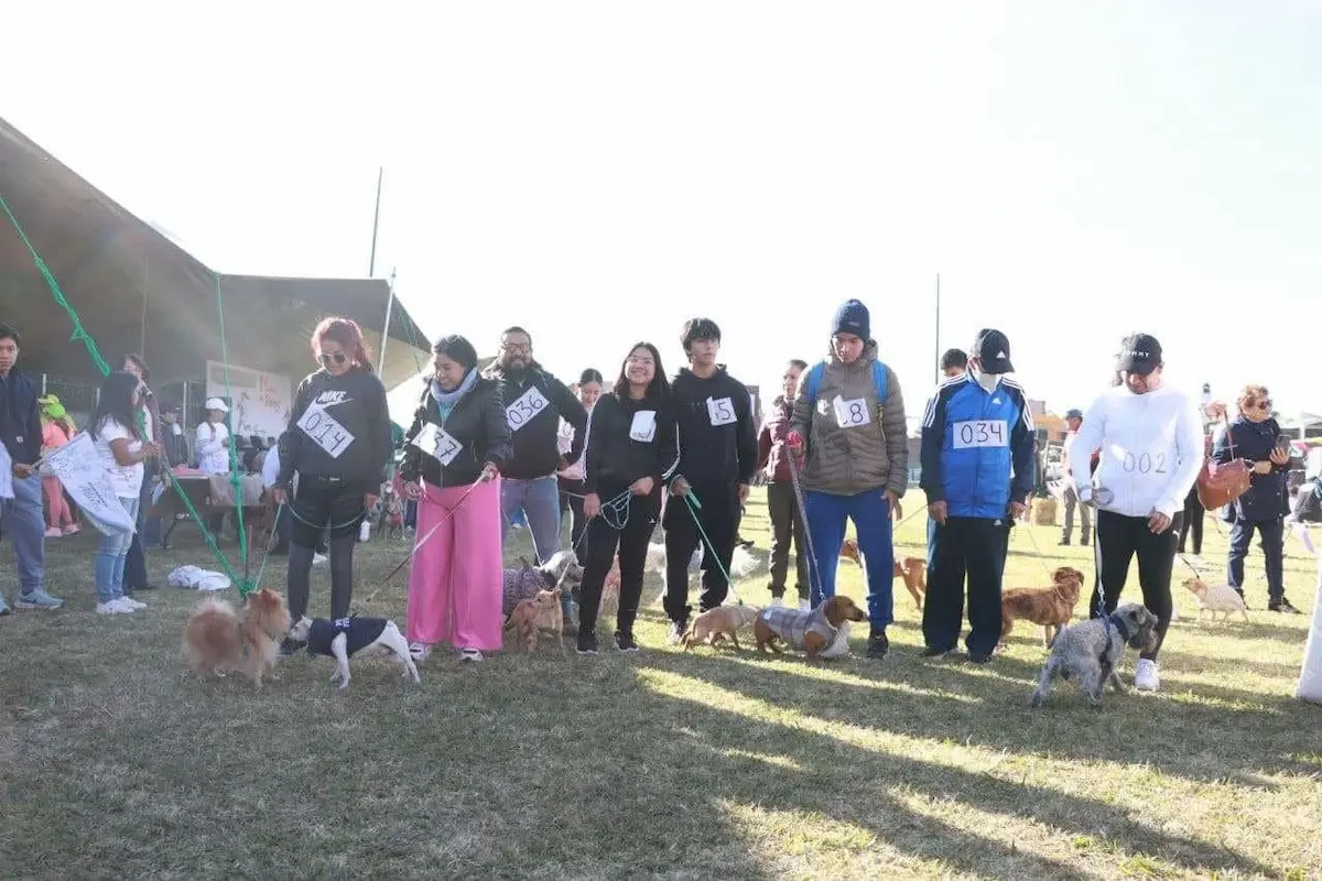 ¡Todos a correr en Atlixco! Ariadna Ayala invita a convivir con tu lomito en la carrera Patitas Fugaces